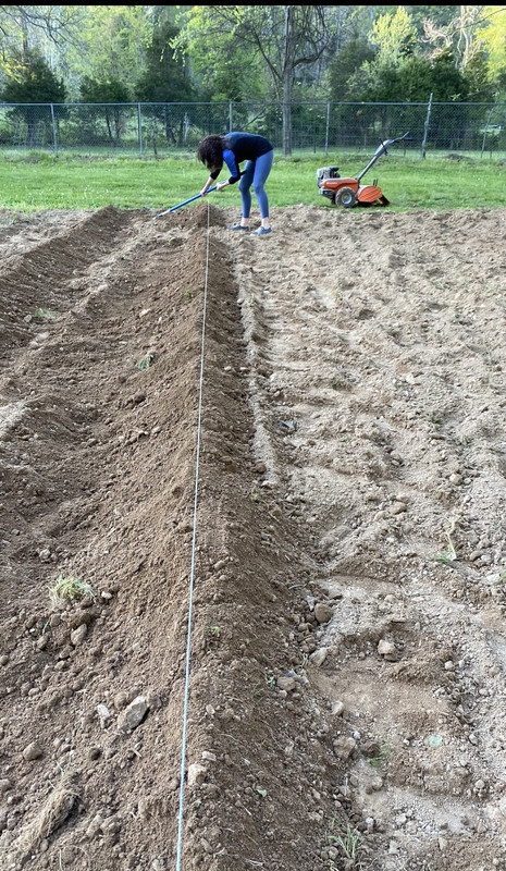 2145CEB4-BF8D-4F2B-B176-FF315ADFC137