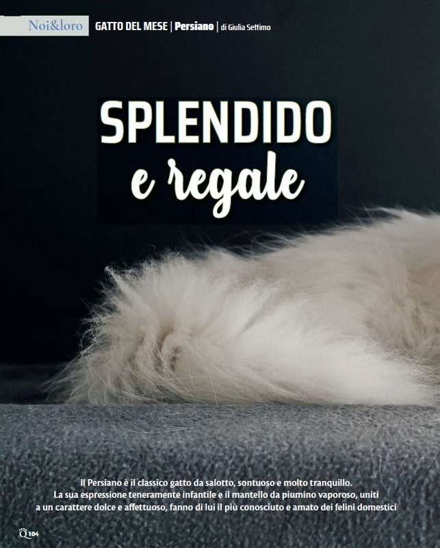 QuattroZampe Nov 2023 (7)