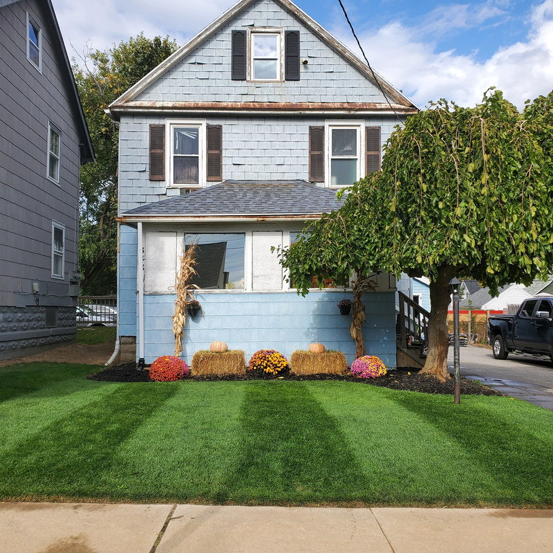 IMG_20201017_143337_264