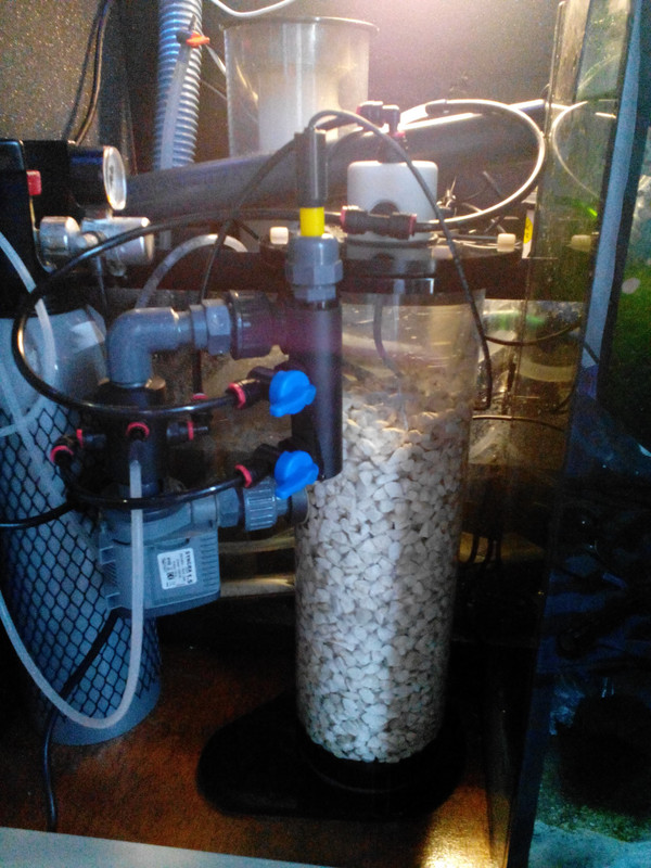 IMG_20130726_171321 (3)