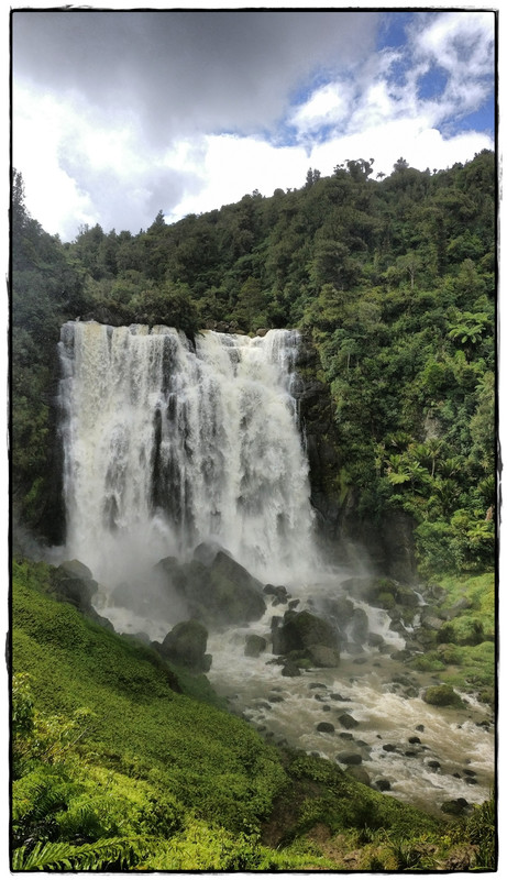 Escapada a Hamilton (marzo 2017): Waitomo y alguna sorpresa más - Escapadas y rutas por la Nueva Zelanda menos conocida (16)