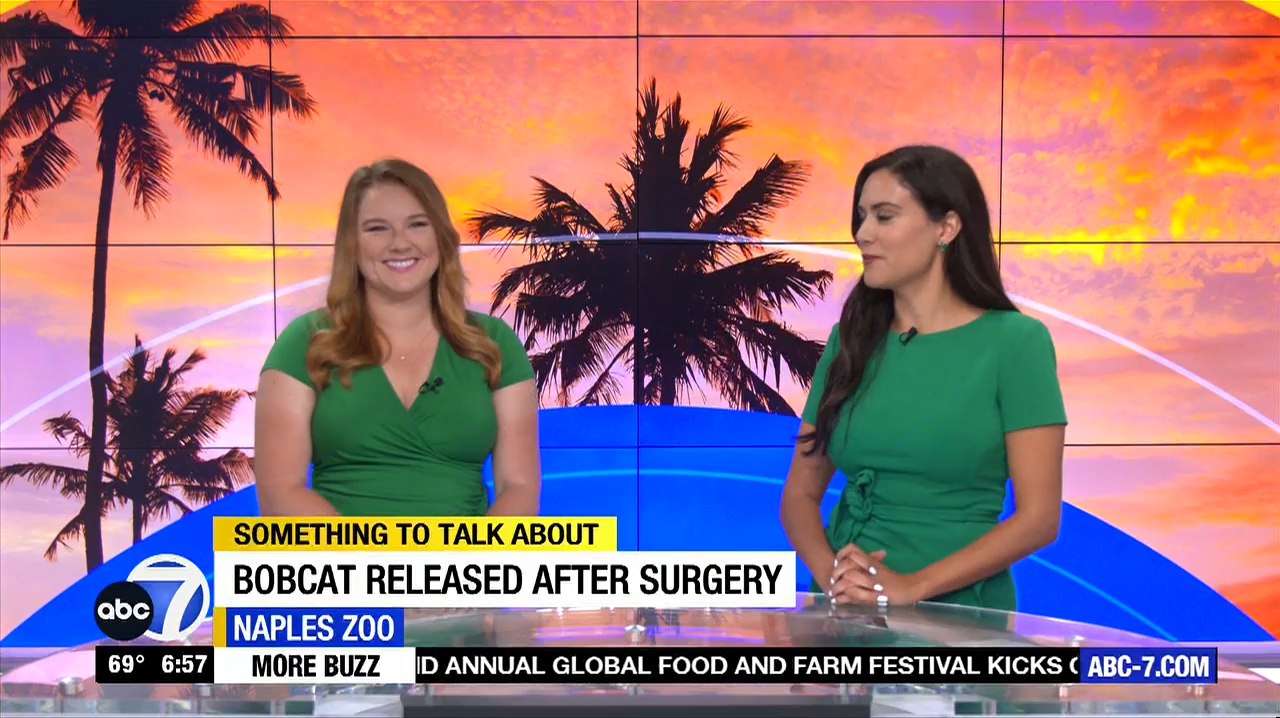 Abc7 More In The Morning Wkn 6Am Su 20240317 10001100-1.mp4_snapshot_53.58.815