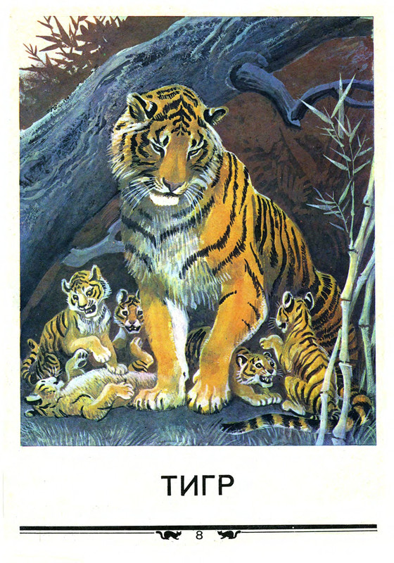 1987-page-0008