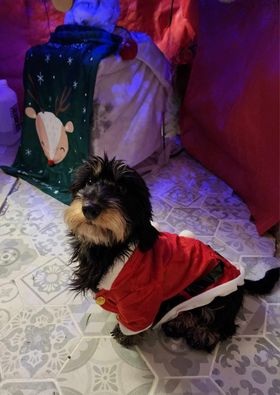 [Image: 370354666-678989351007097-1512084409837776560-n.jpg]