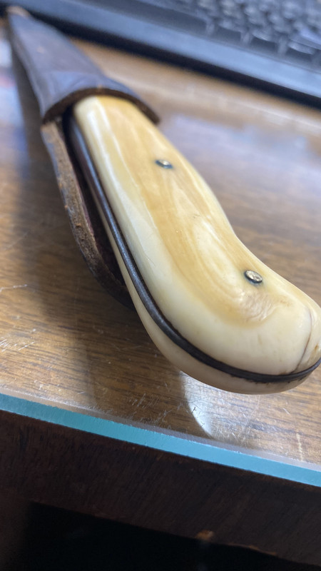 E8CEF388-D9C7-4AB3-9D51-7C33FEED1610