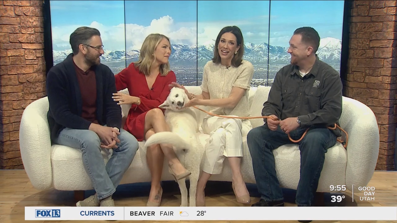 04.04 - 16.00.00 - FOX13 News  Good Day Utah 9AM  ᴺᵉʷ. Utah news, wea....ts_snapshot_00.56.30.127