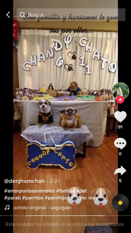 Cumpleaños de Perritos se vuelve viral por humanizarlos