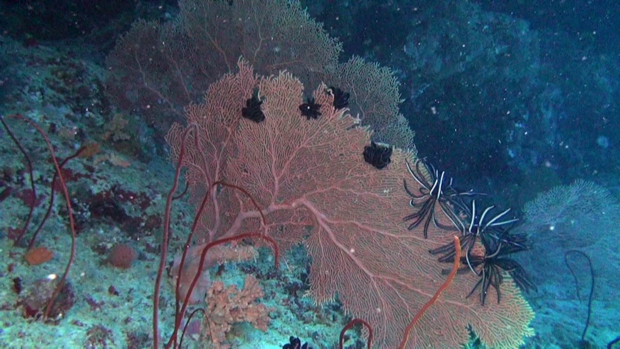 vlcsnap-2023-12-21-21h34m16s059