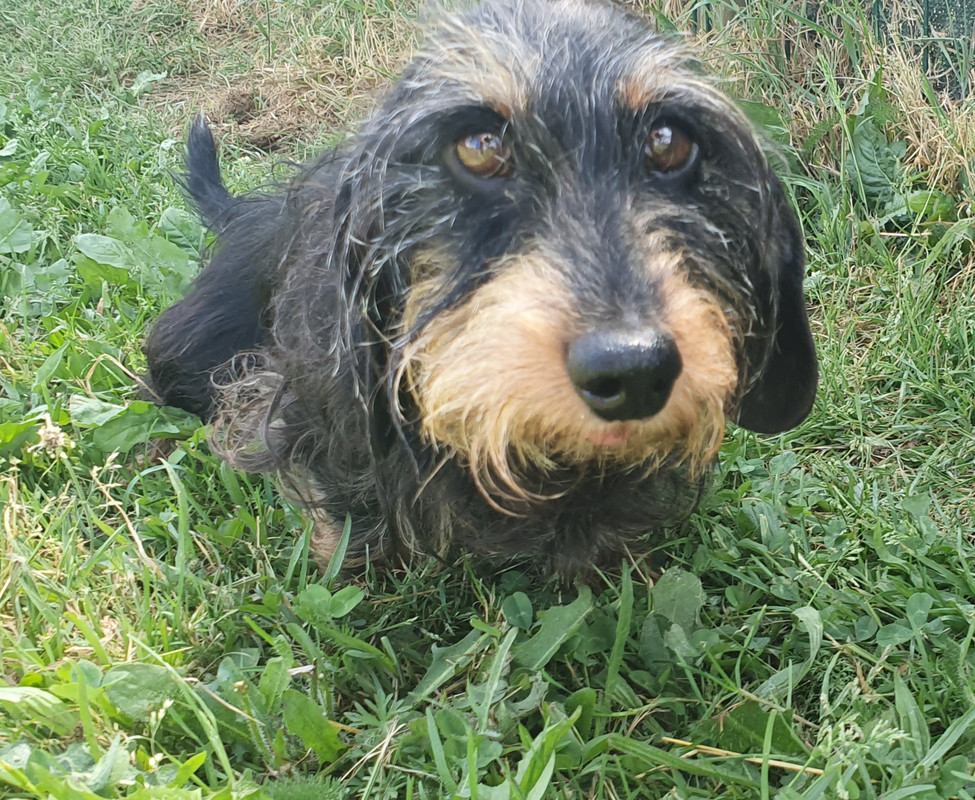 [Image: 20230612-153553.jpg]