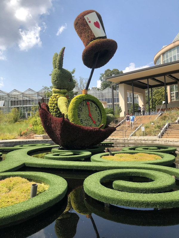 clock-alice-hedge.jpg