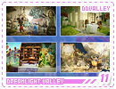 ddvalley11