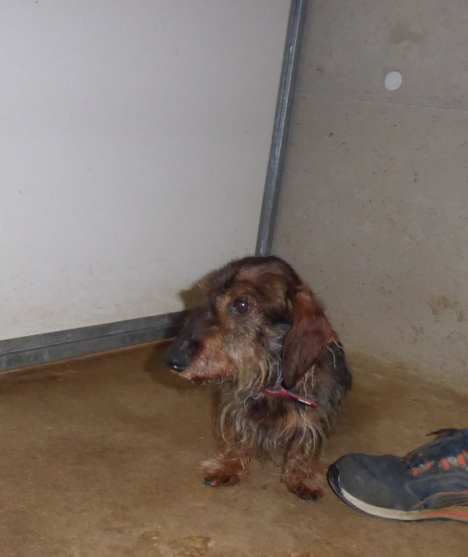 [Image: P1020961.jpg]