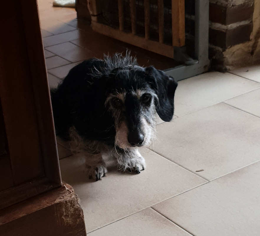 [Image: 20200926-075257.jpg]