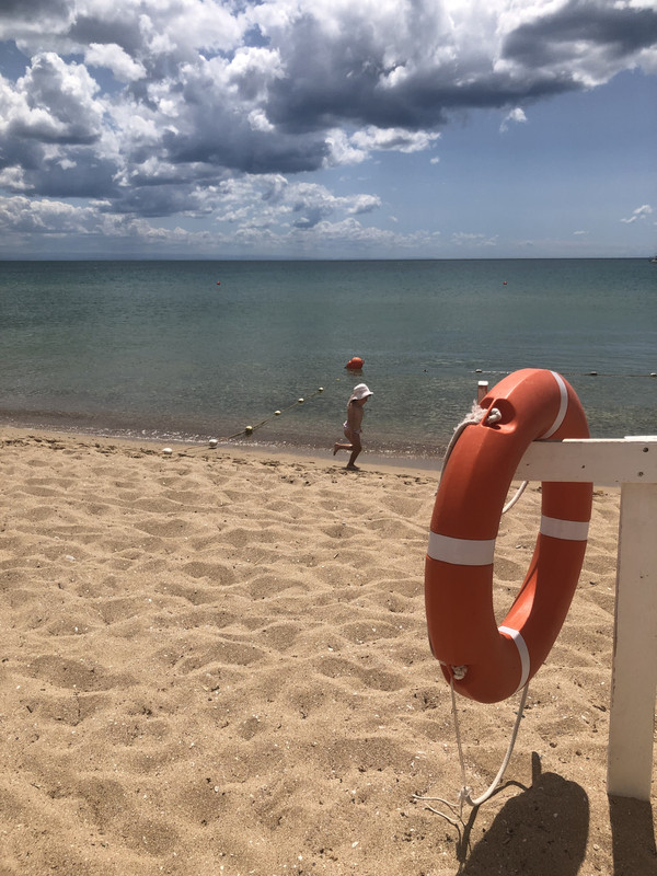 A10F6491-19C6-4307-804F-C12827451B1F