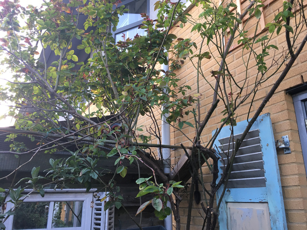 3E1ACC90-A560-4B30-8ED0-5F4B1A92CAE1