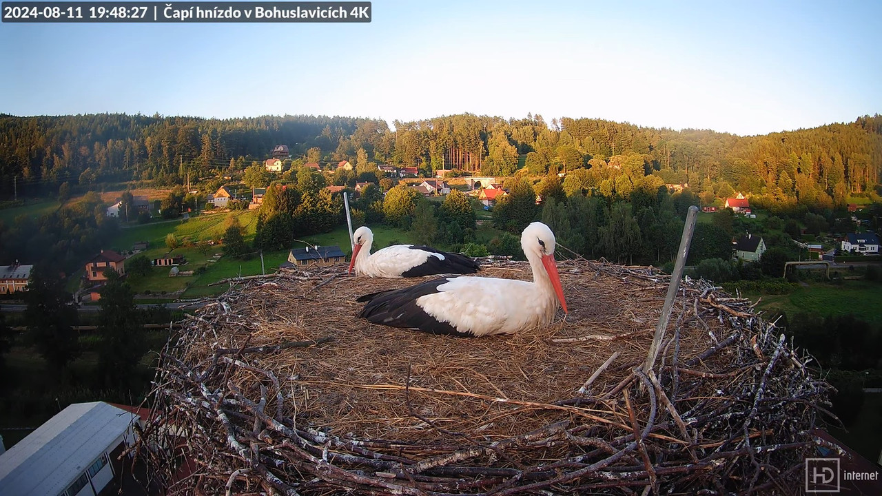 Tiešraidē no uzņēmuma KARA stārķa skursteņa Bohuslavicē pie Trutnovas 13-24-28 screenshot