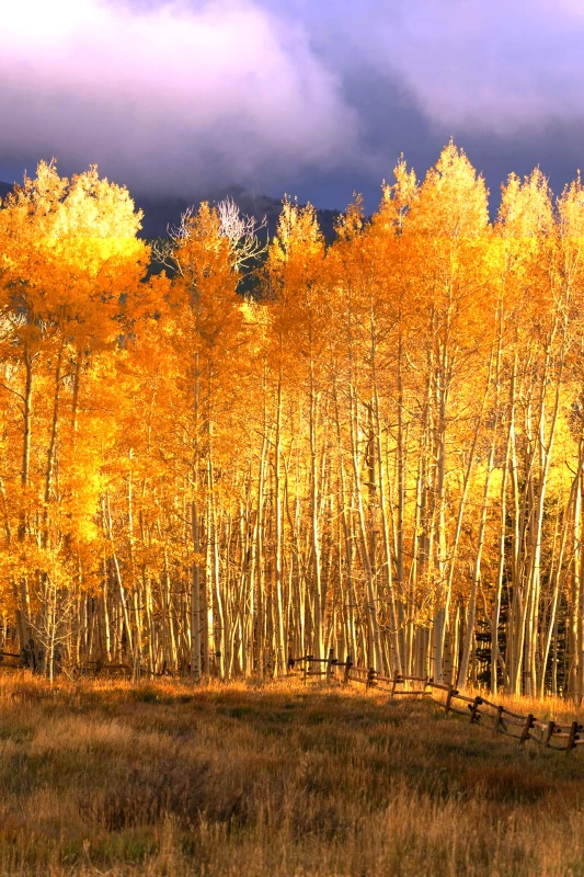 texture like mask blue hexa80 Build With Filters Maker v1 0 19012026185026