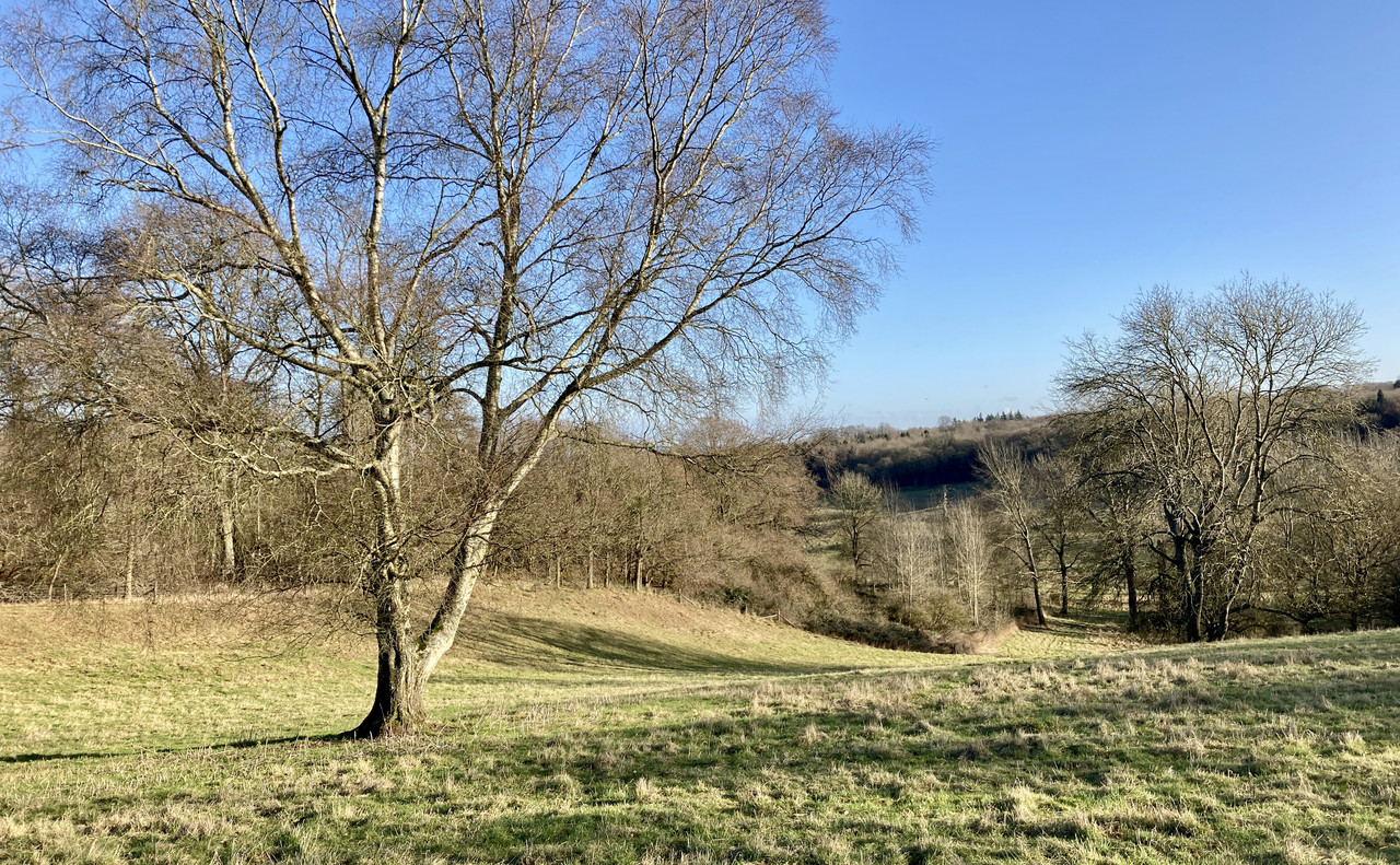 4F76A6ED-7924-450A-9777-0EB726A9D9D8