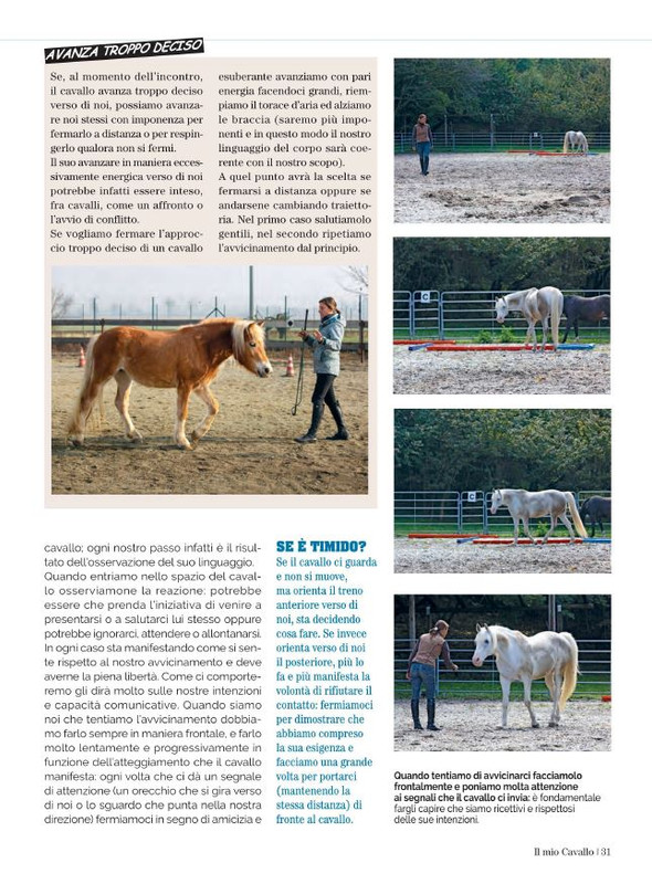 Il Mio Cav (Ago 2022) 4