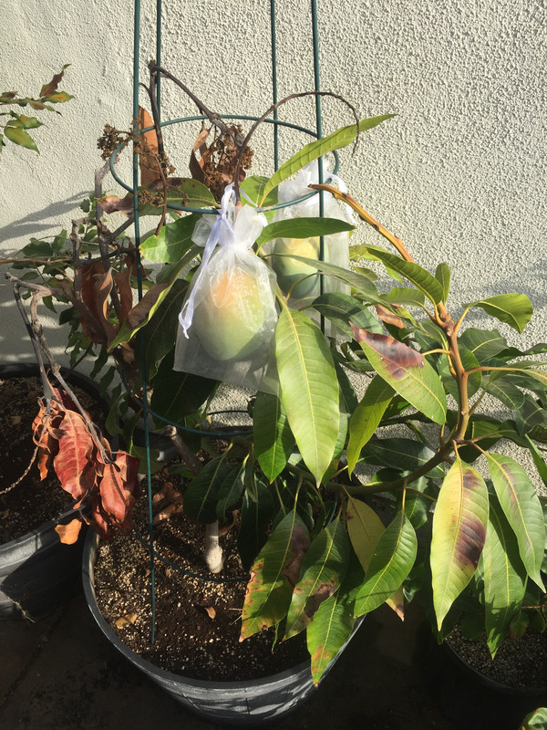 7C347BE2-6740-486F-9B18-BC49DB96C0EE