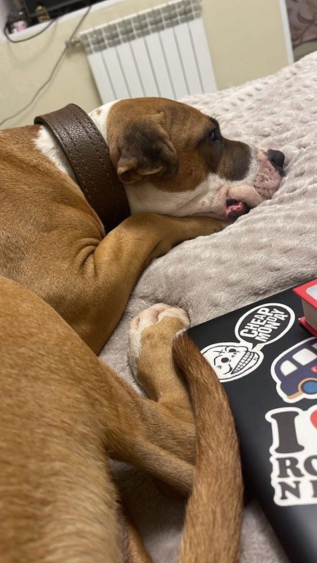 D80C5FB4-F85D-4E61-B61F-3286F6CACB20