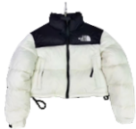 The North Face 1996 short Nuptse Jacket