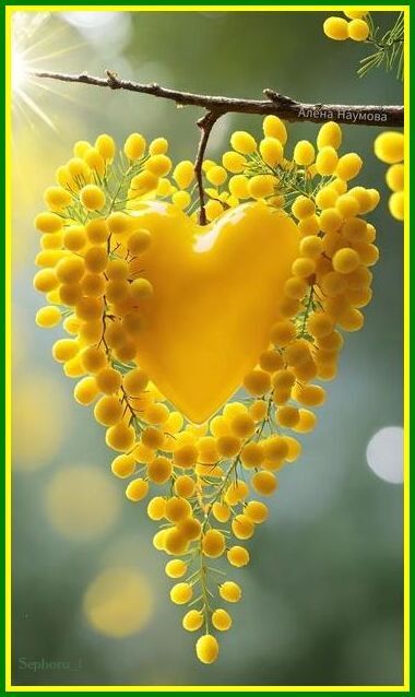 coeurmimosa-Sephora-1