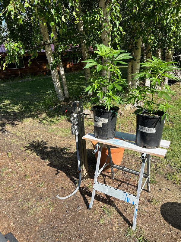 71001549733__B91AFAD3-E004-423F-9E76-B7377557F768