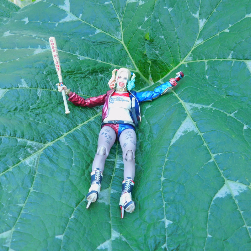 Дачно-Харлинский июнь-июль 2024 361