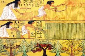 Ancient Egyptian Agriculture