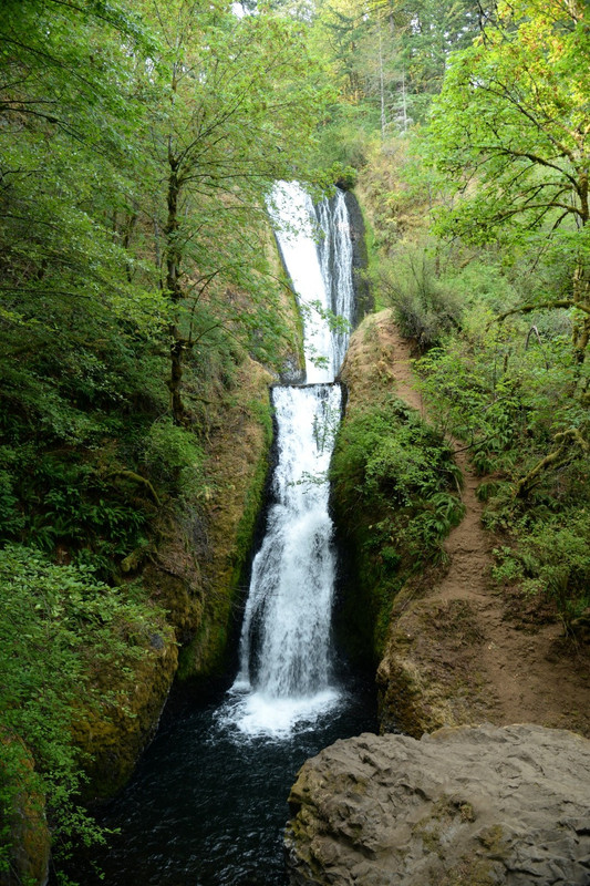 Centro, Columbia River Gorge y Mount Hood - Árboles gigantes, fuegos y volcanes extintos - Oregon y California norte (2018) (9)