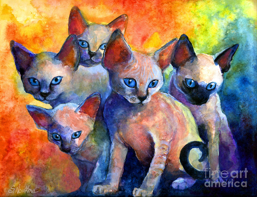 25-devon-rex-kittens-svetlana-novikova