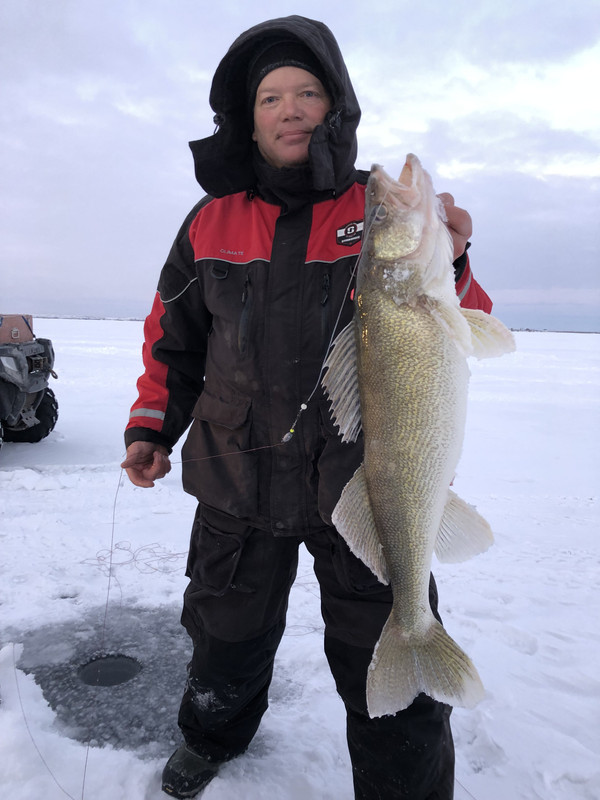 8 lb. walleye