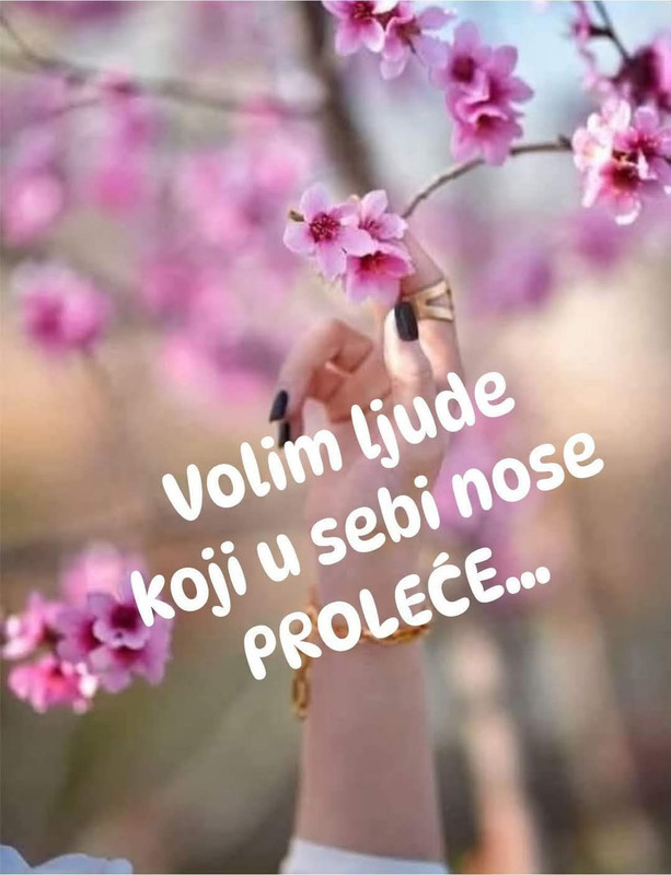 FB_IMG_1742473762095