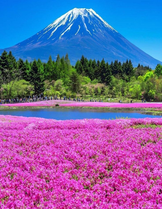 Screenshot_20240529_225642_Pinterest