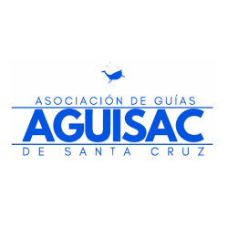 Logo 12