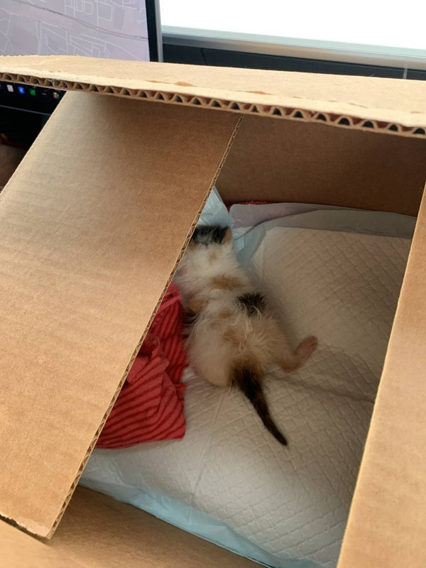 D322C945-5DA2-42B0-9431-DAF32508B411