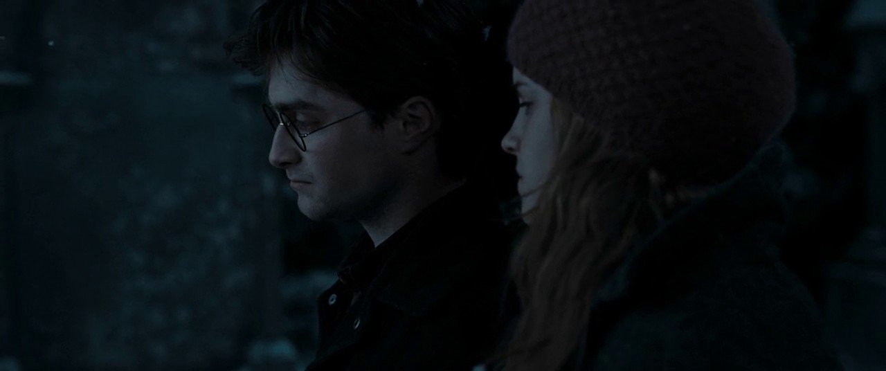 Harry Potter and the Deathly Hallows: Part 1 (2010) Free Movie Download Harry Potter and the Deathly Hallows: Part 1 (2010) Free Movie Download