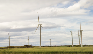 un parc éolien