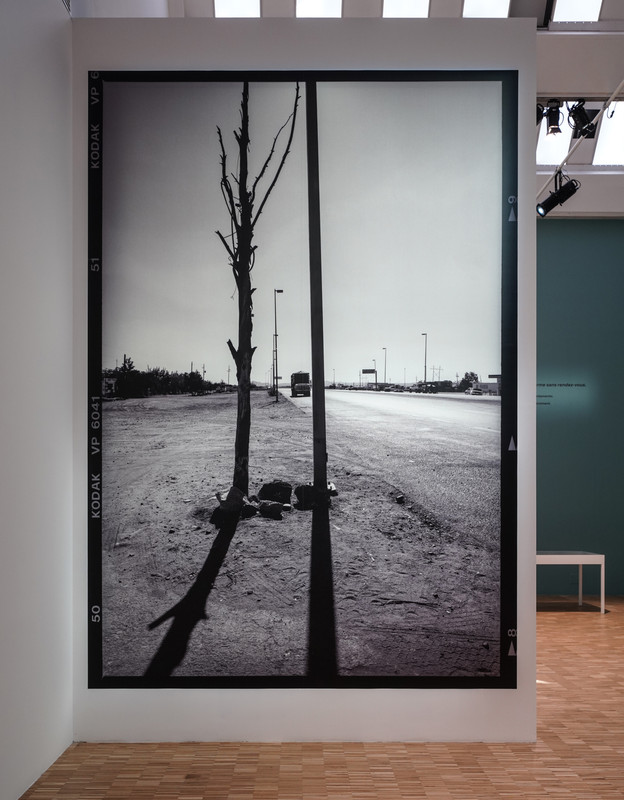 06b5 DSC05880_DxOVP - Persp Crop FL 1 (FCR - Chiar  40