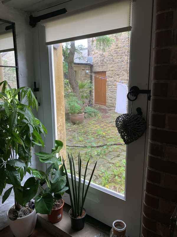 9AC57AB9-8CCF-4F03-9430-6EE870D5968E