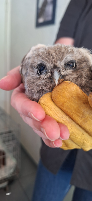 [Image: 20250708-181943.jpg]