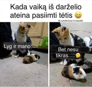 Paveikslėlis