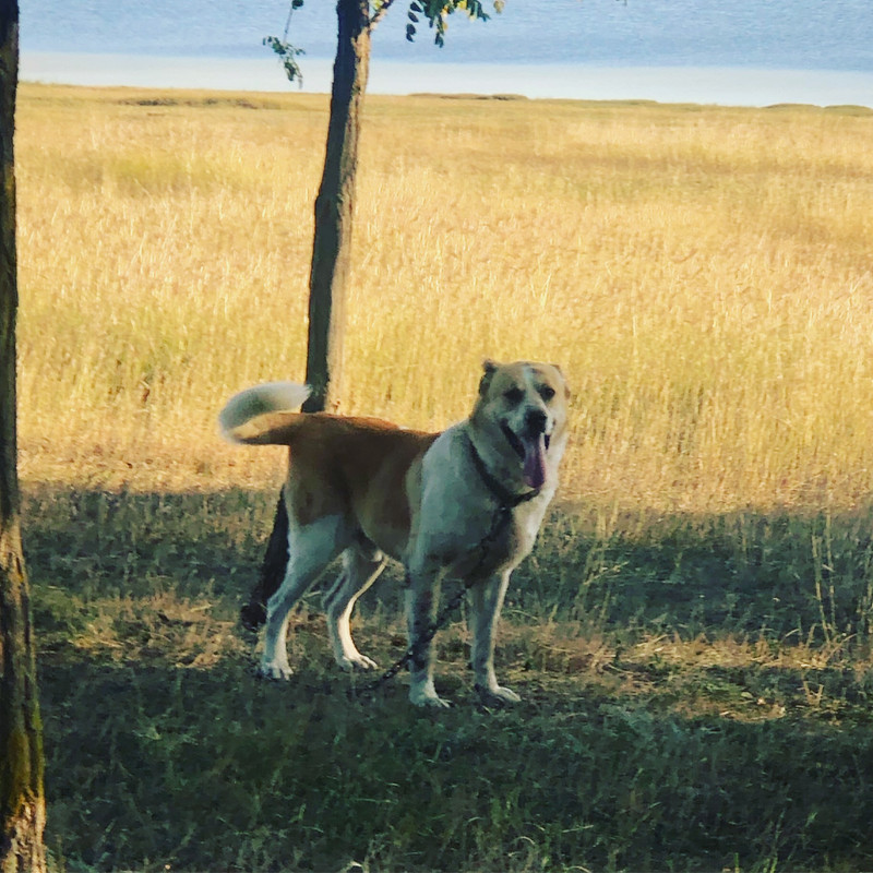 F0FCA6CB-18F1-42C0-9E43-F73083AA9080