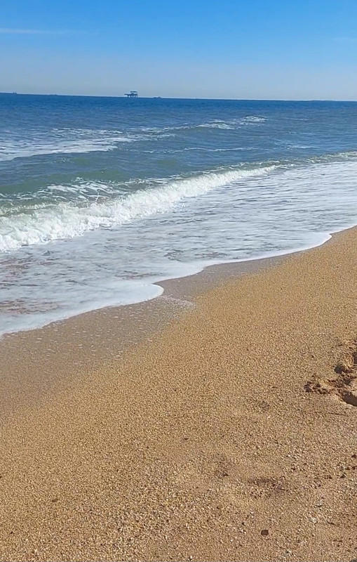 Screenshot_20240330_162330_Gallery