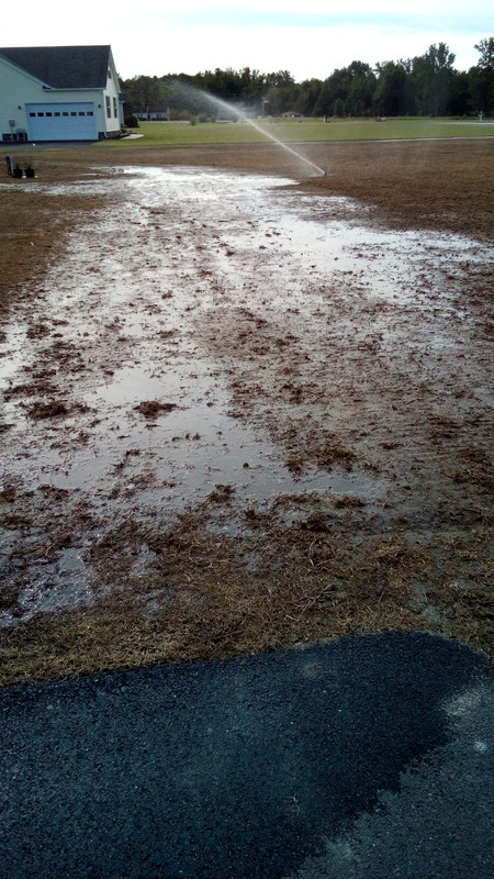 IMG_20200919_104103-2