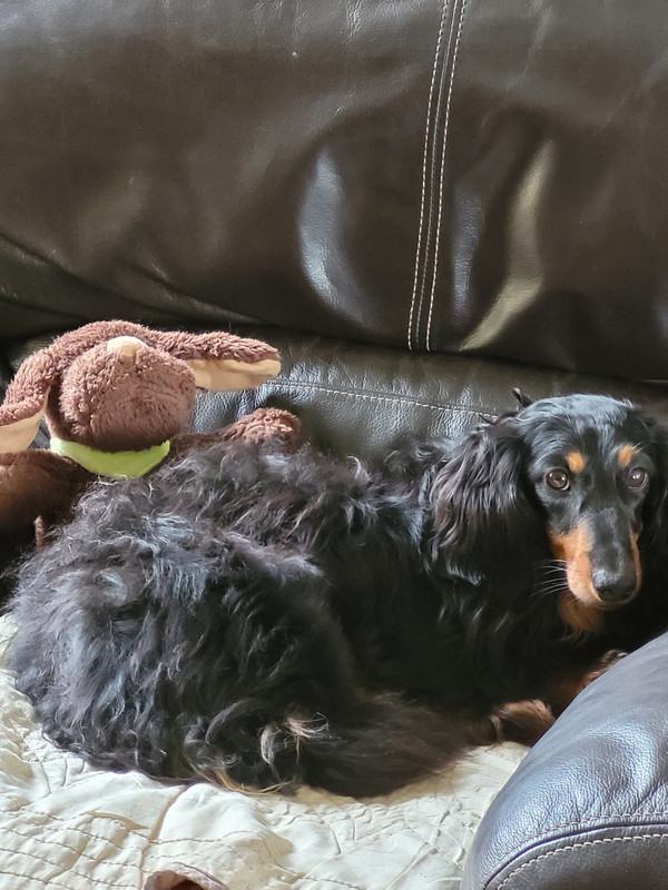 [Image: 20240814-133607.jpg]