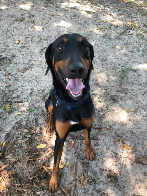 61565797_10218785715819288_9088590572922339328_n