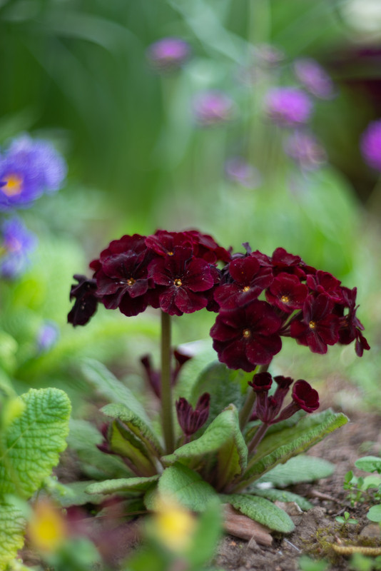 IMG-48f1eeb09363117983f58595831db223-V