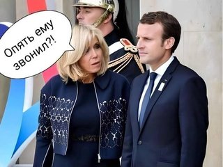 https://i.postimg.cc/Vvgk52BQ/scale-1200.jpg